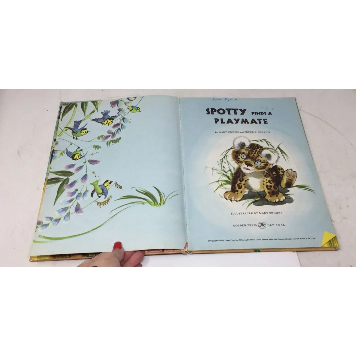''Spotty Finds a Playmate'' by Mary Brooks and Bruce R Carrick - A+ Stuff - Books - A+ Stuff