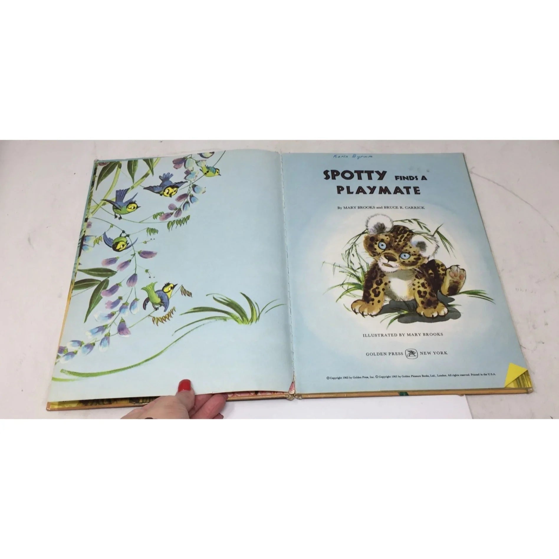 ''Spotty Finds a Playmate'' by Mary Brooks and Bruce R Carrick - A+ Stuff - Books - A+ Stuff