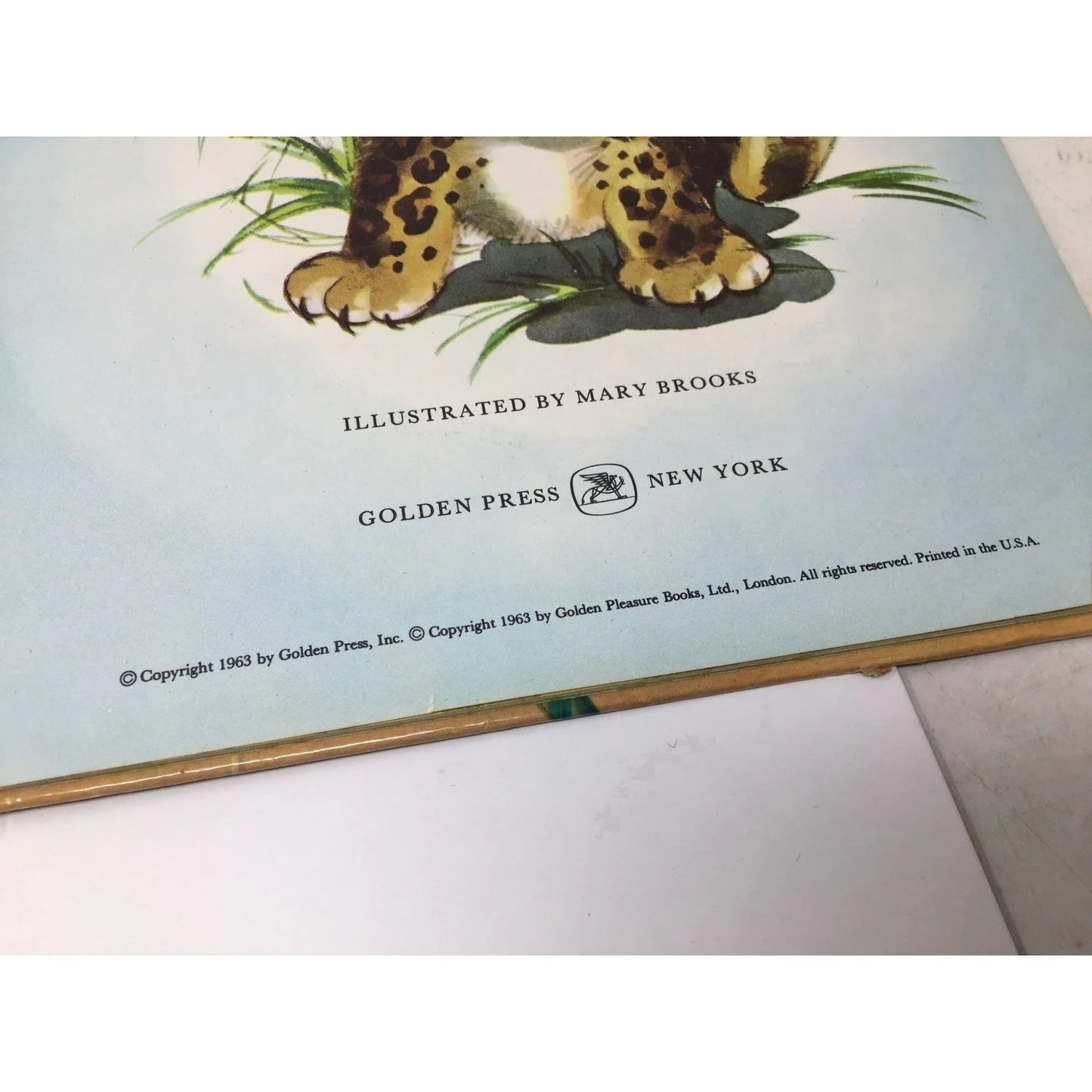 ''Spotty Finds a Playmate'' by Mary Brooks and Bruce R Carrick - A+ Stuff - Books - A+ Stuff