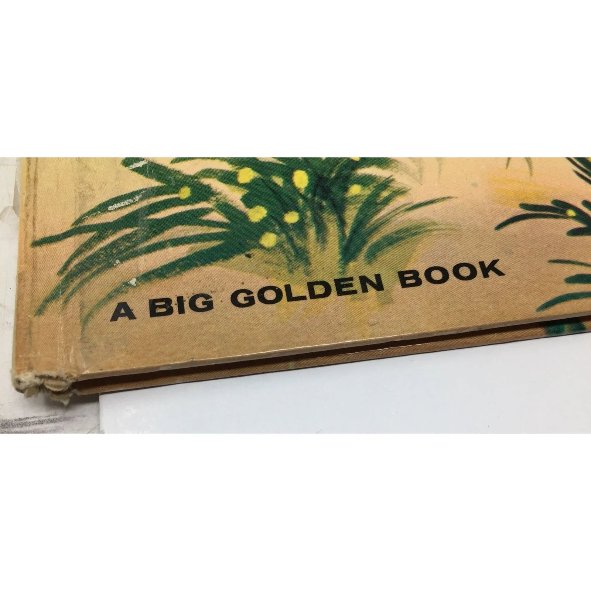 ''Spotty Finds a Playmate'' by Mary Brooks and Bruce R Carrick - A+ Stuff - Books - A+ Stuff