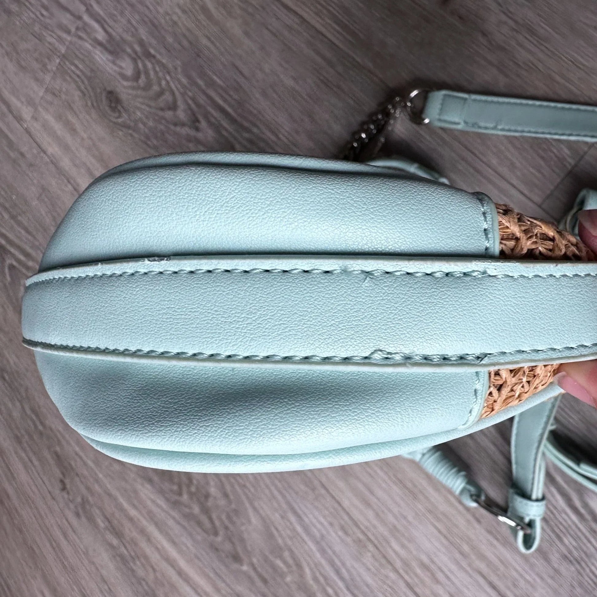 Steve Madden Bdaryll Crossbody / Shoulder bag - Frest Mint  with Round Tag Pouch NWT - A+ Stuff