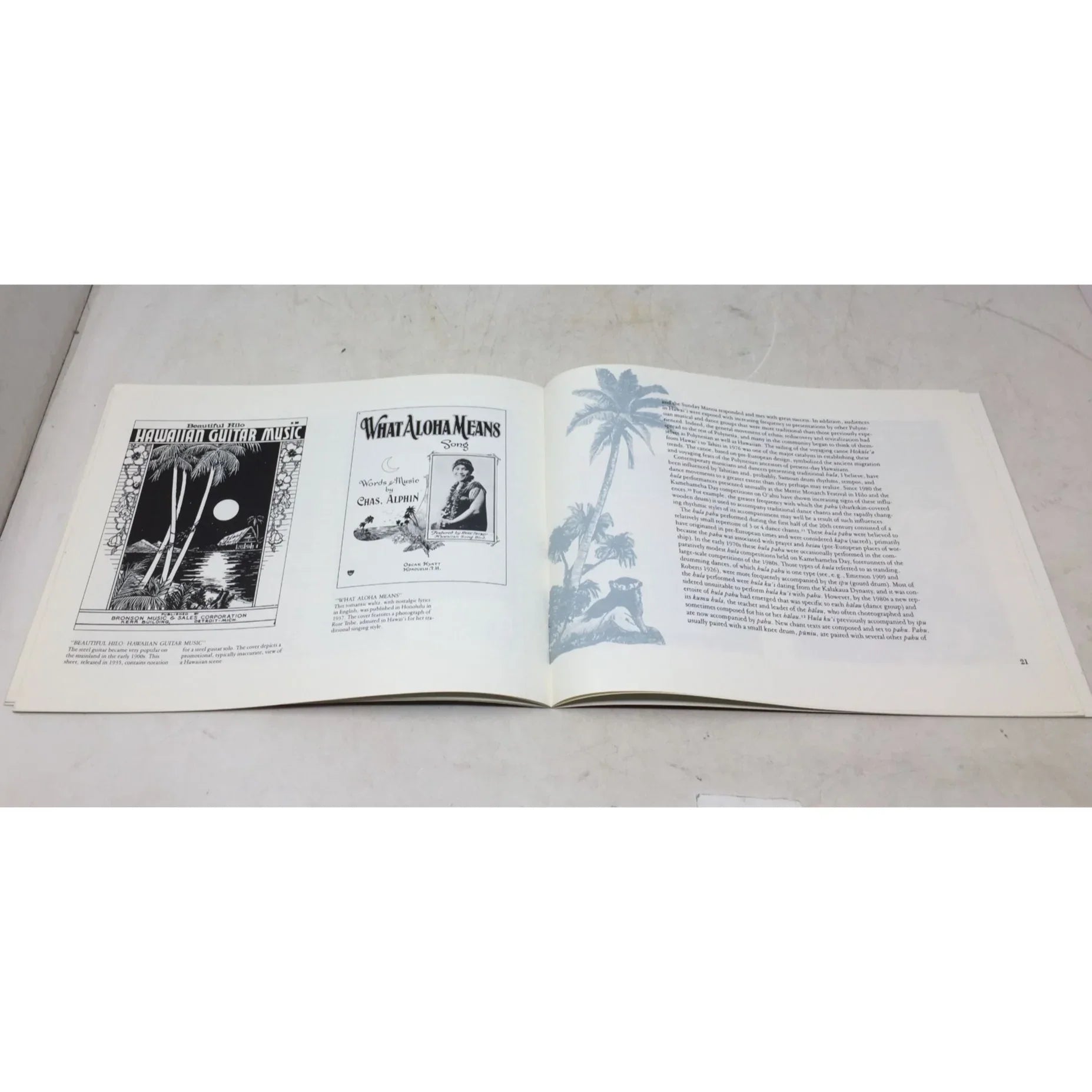 Strains of Change: The Impact of Tourism on Hawaiian Music by Elizabeth Tatar - A+ Stuff - Books - A+ Stuff