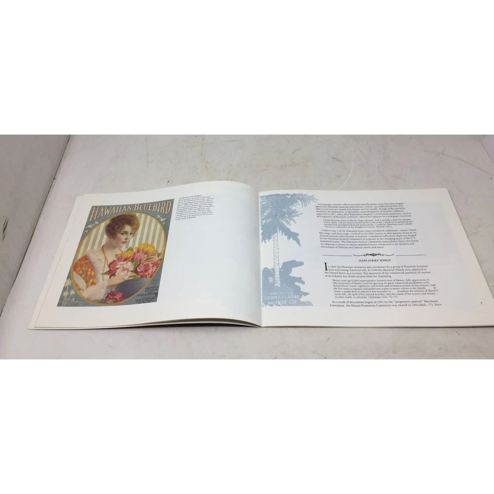 Strains of Change: The Impact of Tourism on Hawaiian Music by Elizabeth Tatar - A+ Stuff - Books - A+ Stuff