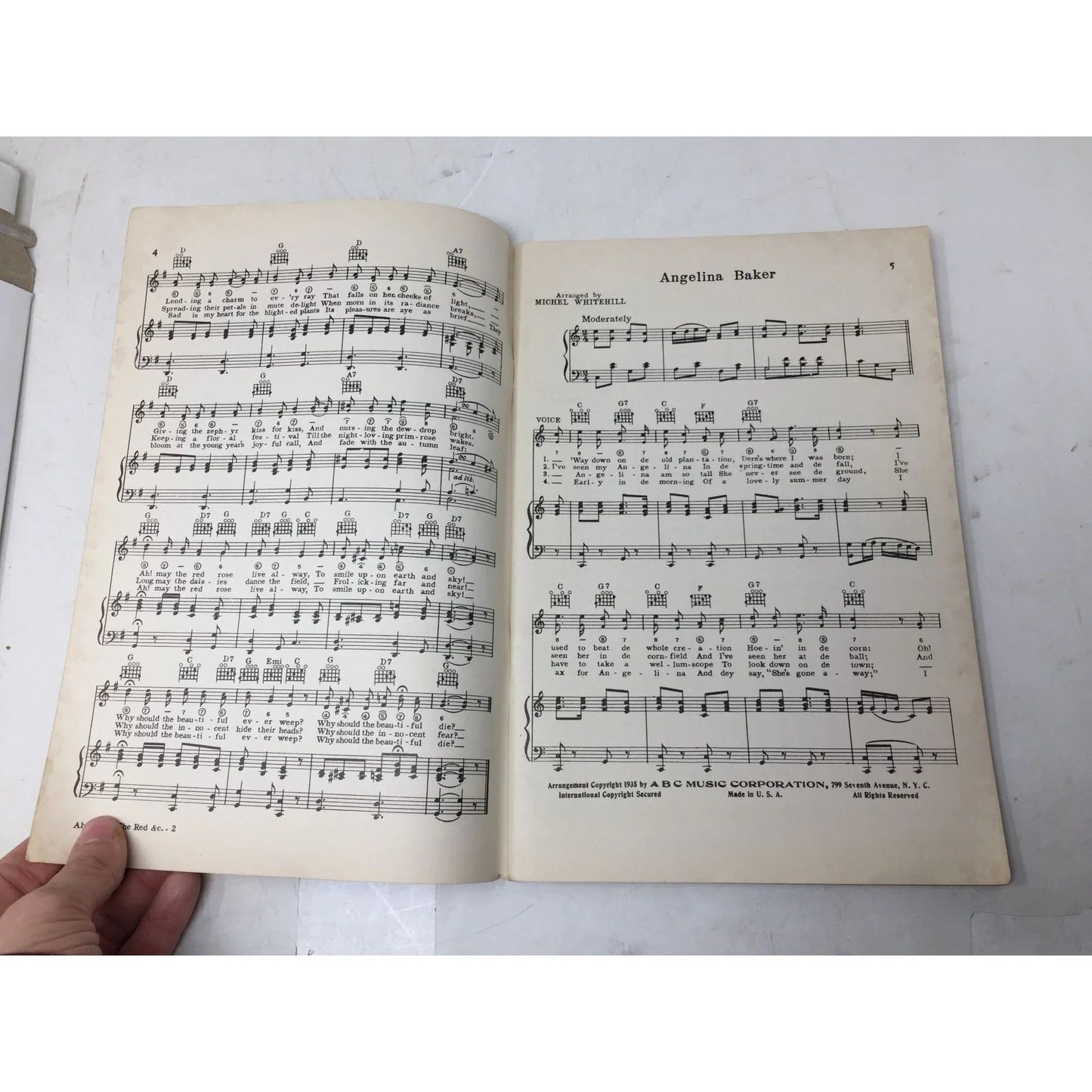 SWANEE RIVER ALBUM OF STEPHEN FOSTERS IMMORTAL SONGS - A+ Stuff - sheet music - A+ Stuff