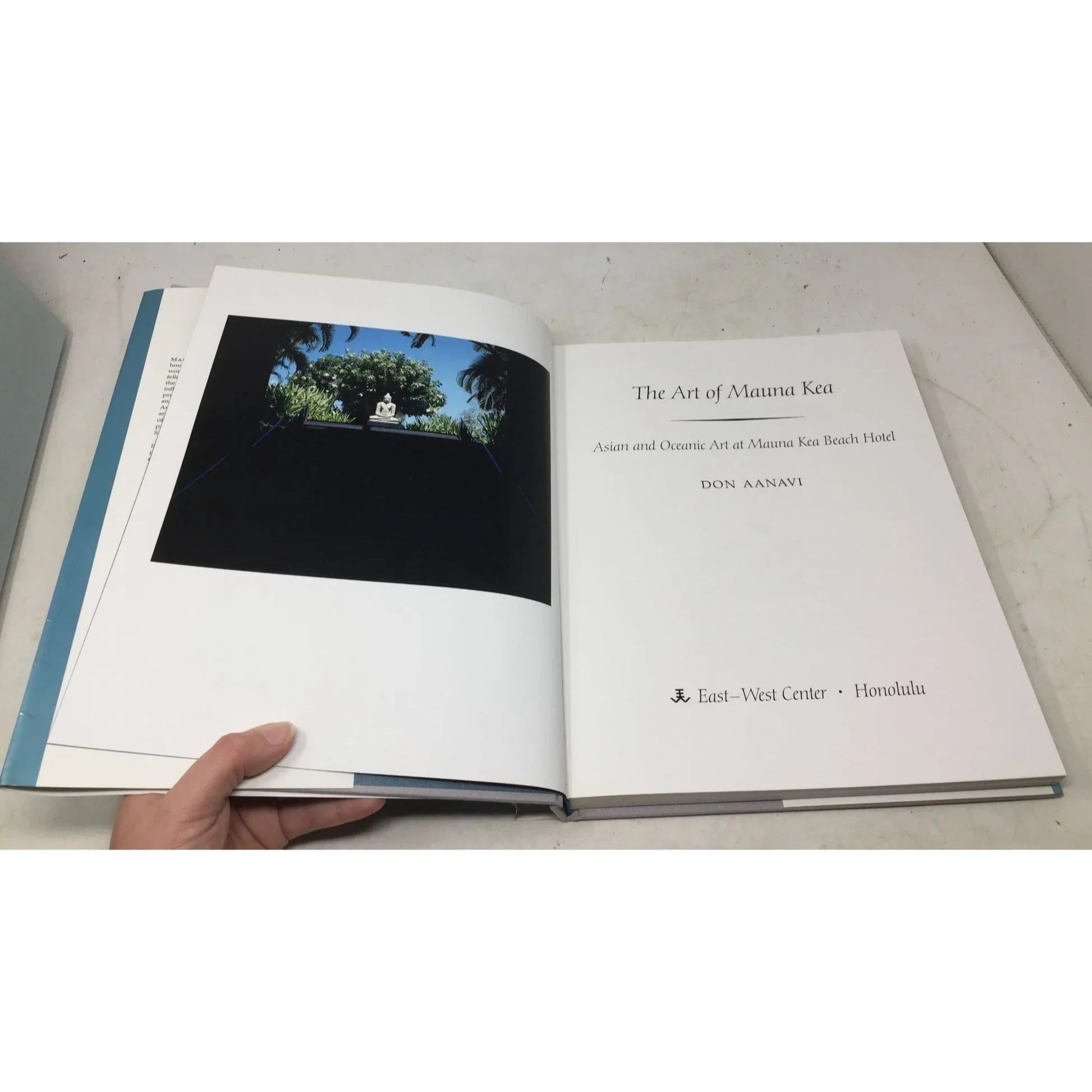 The Art of Mauna Kea by Don Aanavi. - unbranded - Vintage Books - A+ Stuff