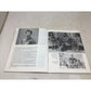 The High Chiefess, Ruth Keelikolani by Kristin Zambucka - A+ Stuff - books - A+ Stuff