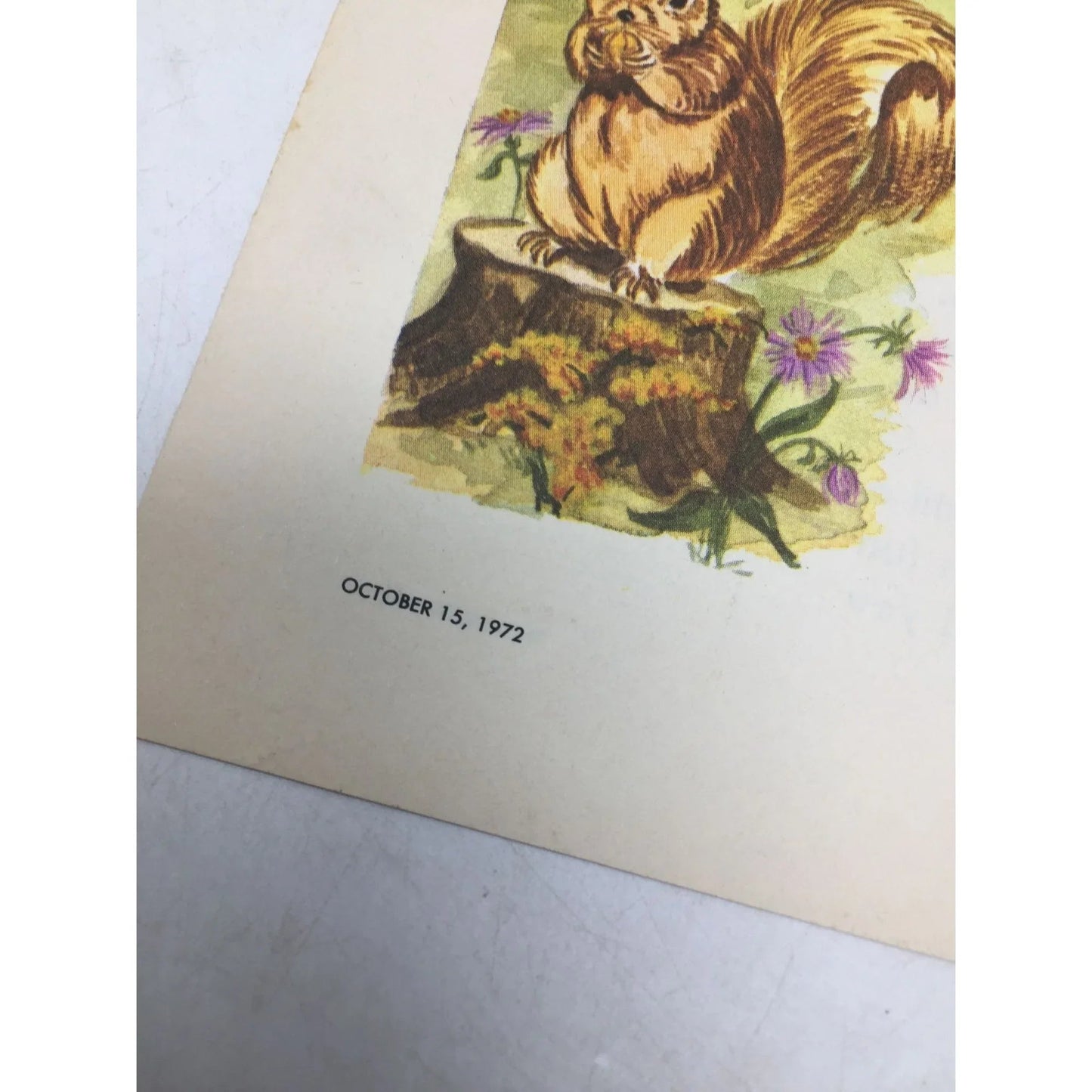 The Kindergartner Church Story Paper for Kindergarten Children - A+ Stuff - SHEET MUSIC - A+ Stuff