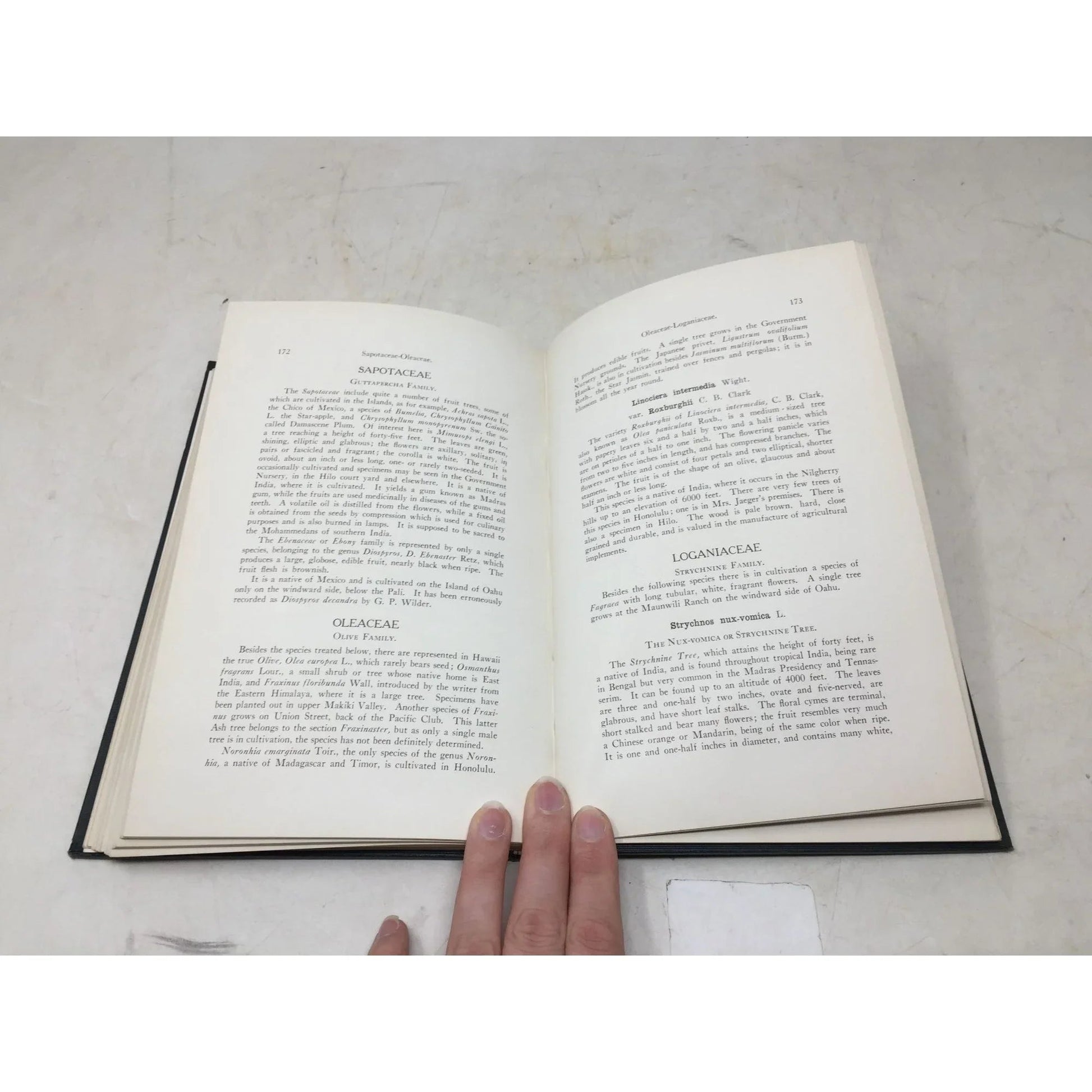 The Ornamental Trees of Hawaii by J. F. Rock - A+ Stuff - Books - A+ Stuff