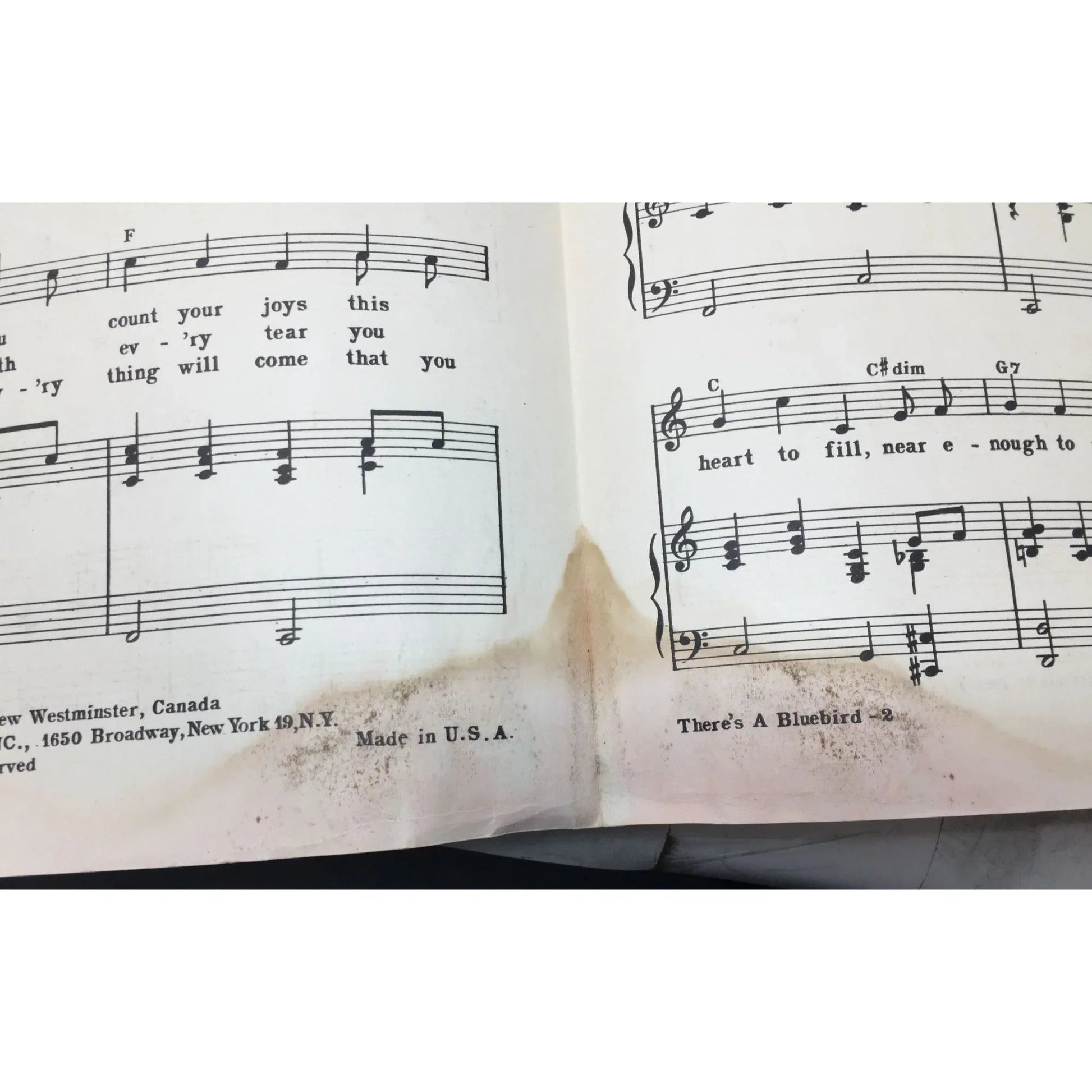 ''There's a bluebird on your windowsill'' By Elizabeth Clarke - A+ Stuff - sheet music - A+ Stuff