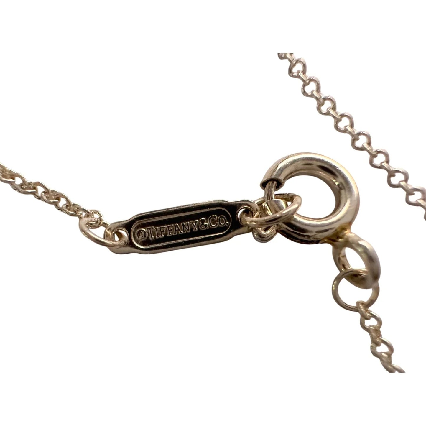 Tiffany & Co "Go Women" 2020 Necklace - Tiffany & Co. - A+ Stuff