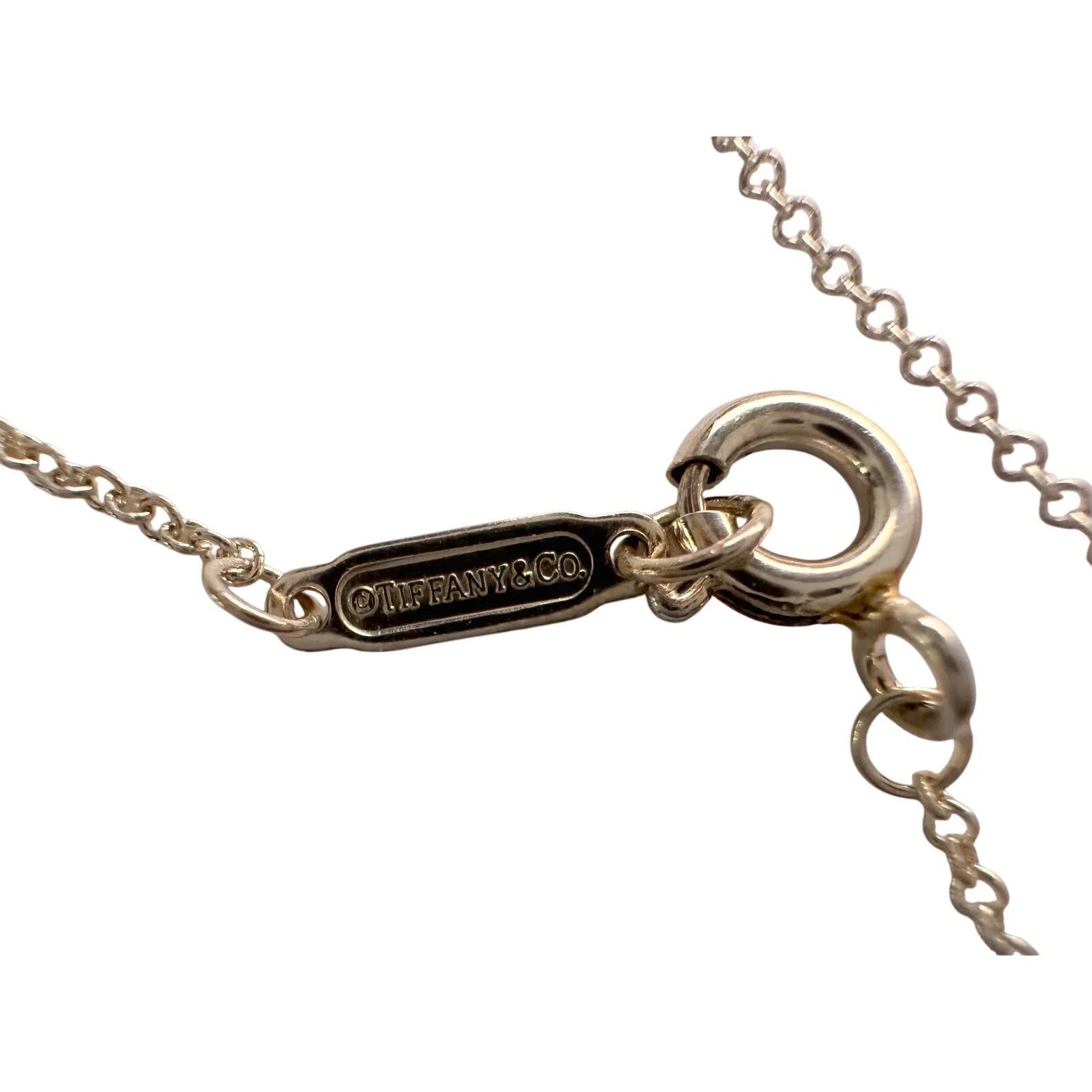 Tiffany & Co "Go Women" 2020 Necklace - Tiffany & Co. - A+ Stuff