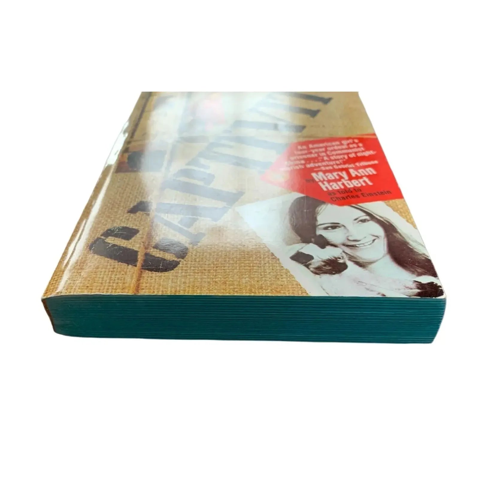 Paperback book with textured cover, angled view, showing woman’s portrait and bold title text