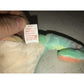 1997 Rainbow the Chameleon Beanie Baby TY Beanie Baby  A+ Stuff Plush Toys / Stuffed Animals