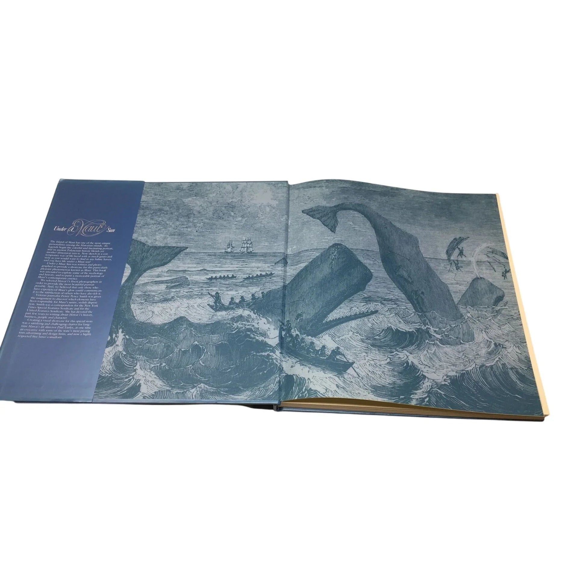 ''UNDER A MAUI SUN'' HARDCOVER BOOK - A+ Stuff - books - A+ Stuff