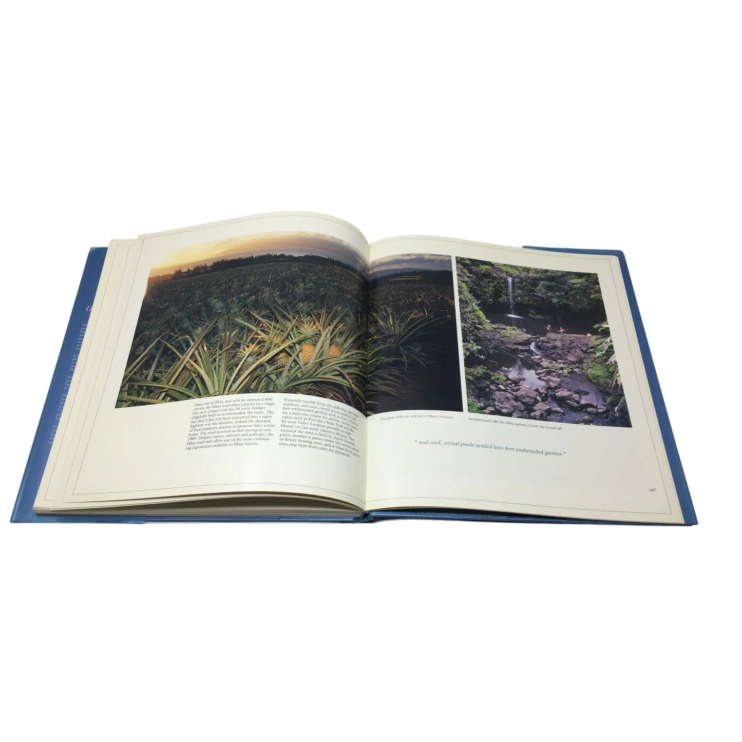 ''UNDER A MAUI SUN'' HARDCOVER BOOK - A+ Stuff - books - A+ Stuff