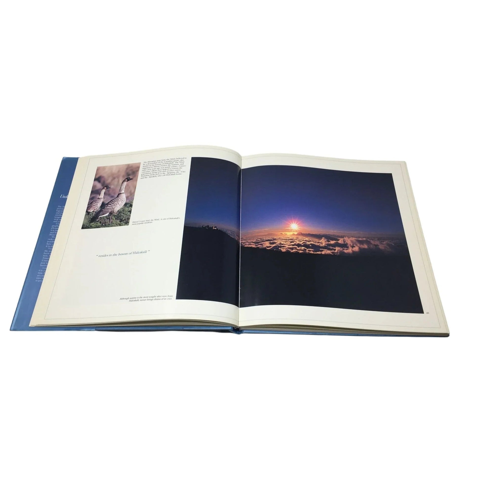 ''UNDER A MAUI SUN'' HARDCOVER BOOK - A+ Stuff - books - A+ Stuff