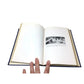 'Under Hawaiian Skies' By Albert Pierce Taylor. - Albert Pierce Taylor - A+ Stuff