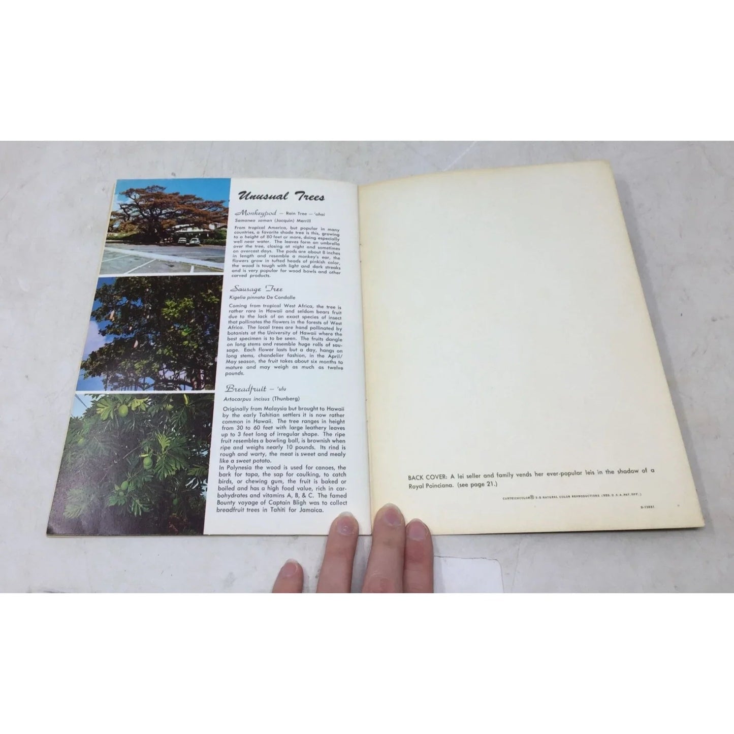 Vintage Book ''Hawaii's Flowers Plants & Fruits'' - A+ Stuff - Books - A+ Stuff
