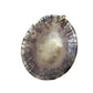 Vintage Brown/White Sea Shell Pendant For Necklace - A+ Stuff - Pendant - A+ Stuff