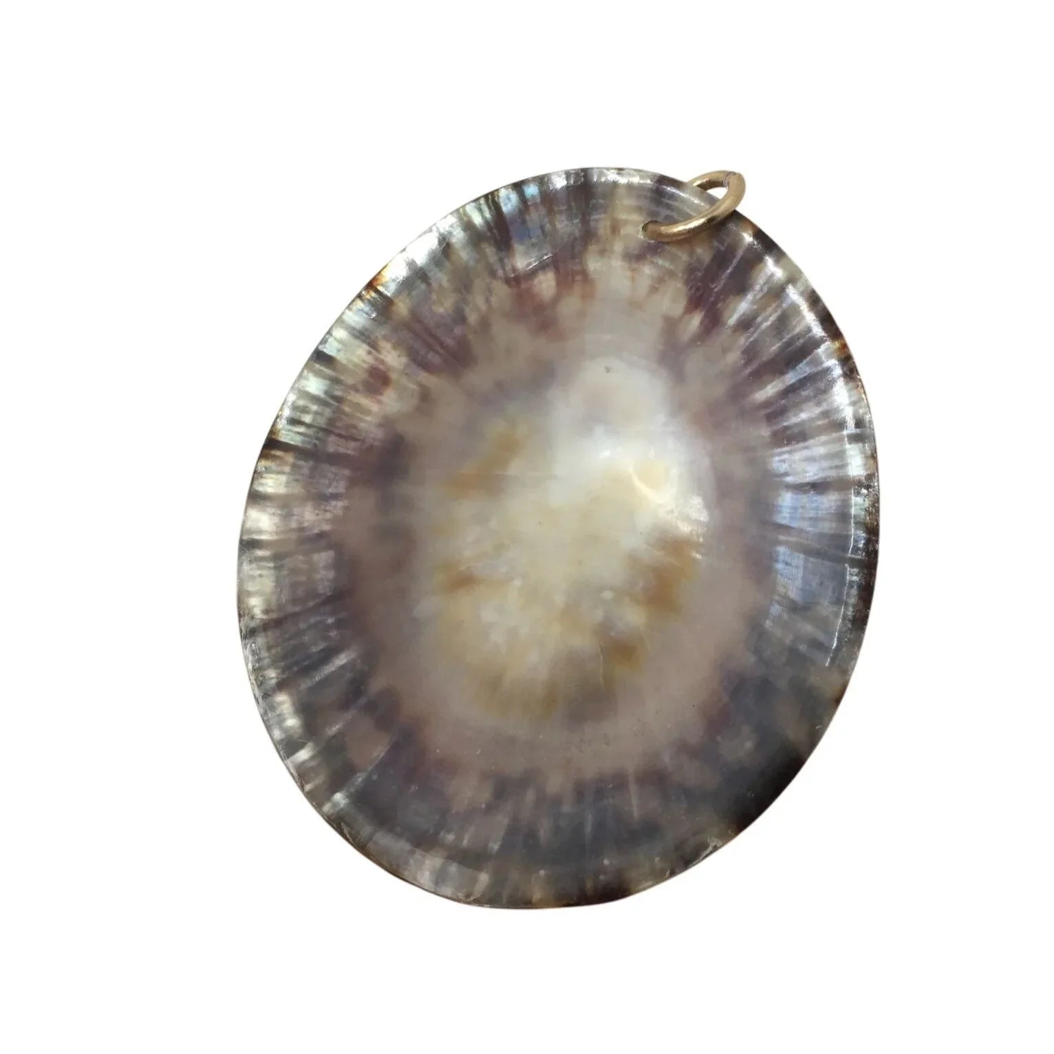 Vintage Brown/White Sea Shell Pendant For Necklace - A+ Stuff - Pendant - A+ Stuff