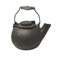 Vintage Cast Iron Teapot/Tea Kettle with Swivel Lid and Metal Silver Handle - A+ Stuff - Coffee Servers & Tea Pots - A+ Stuff