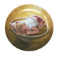 Vintage Collector Plate Baby Day Dreamer 8.5" Zolan Sleeping Baby - zolan - Plates - A+ Stuff