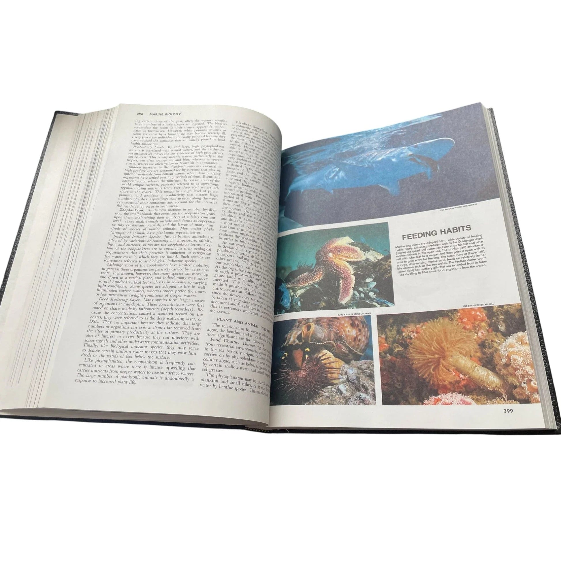 Vintage Collier's Encyclopedia Volume 15 with Bibliography and Index - A+ Stuff - Books - A+ Stuff