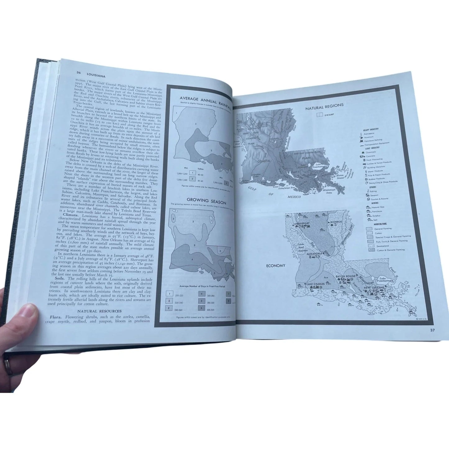 Vintage Collier's Encyclopedia Volume 15 with Bibliography and Index - A+ Stuff - Books - A+ Stuff