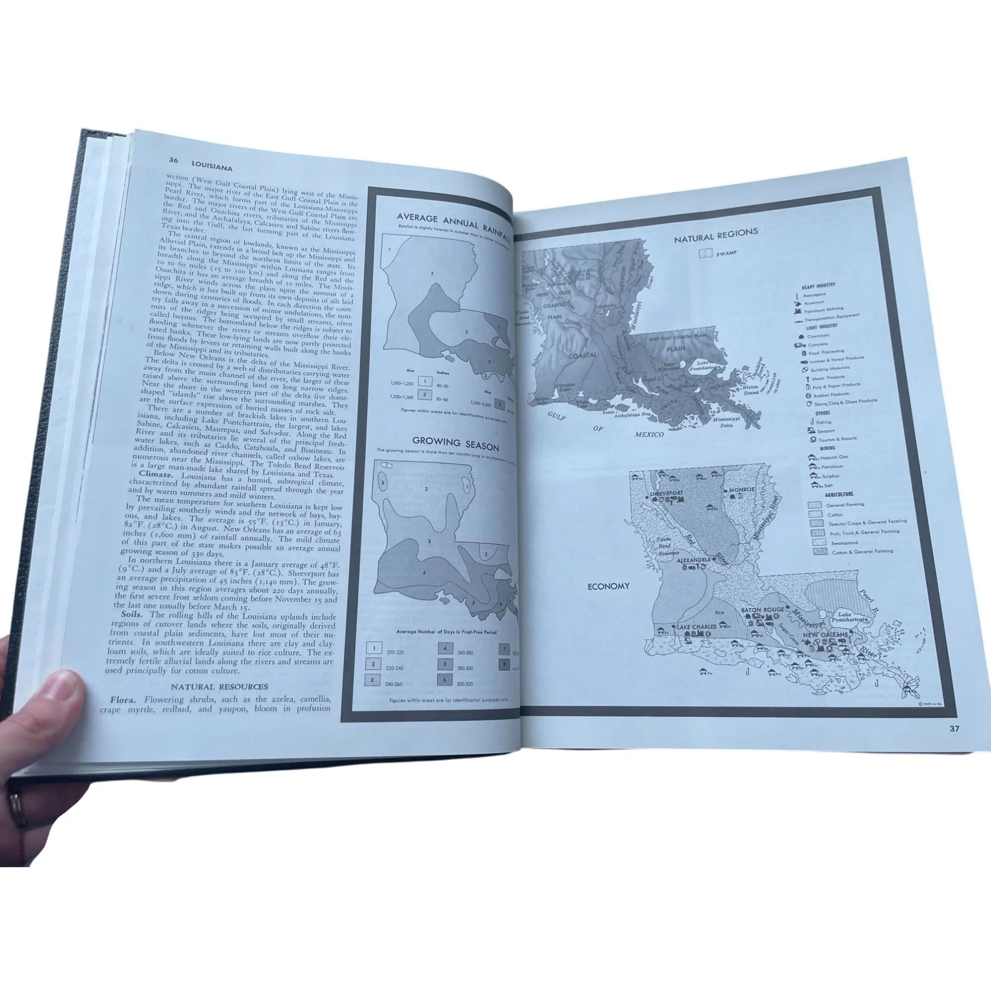 Vintage Collier's Encyclopedia Volume 15 with Bibliography and Index - A+ Stuff - Books - A+ Stuff