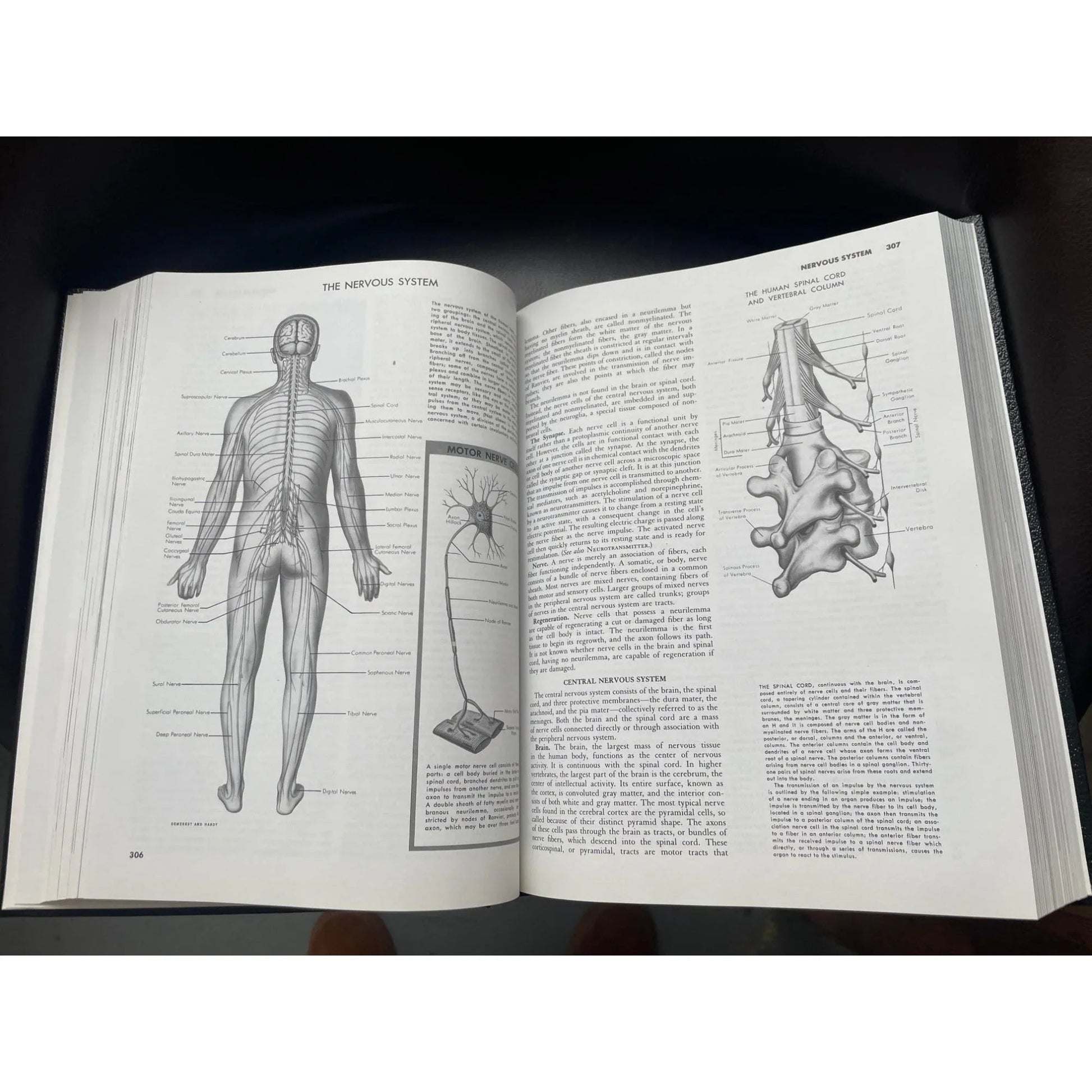 Vintage Collier's Encyclopedia Volume 17 with Bibliography and Index - A+ Stuff - Books - A+ Stuff