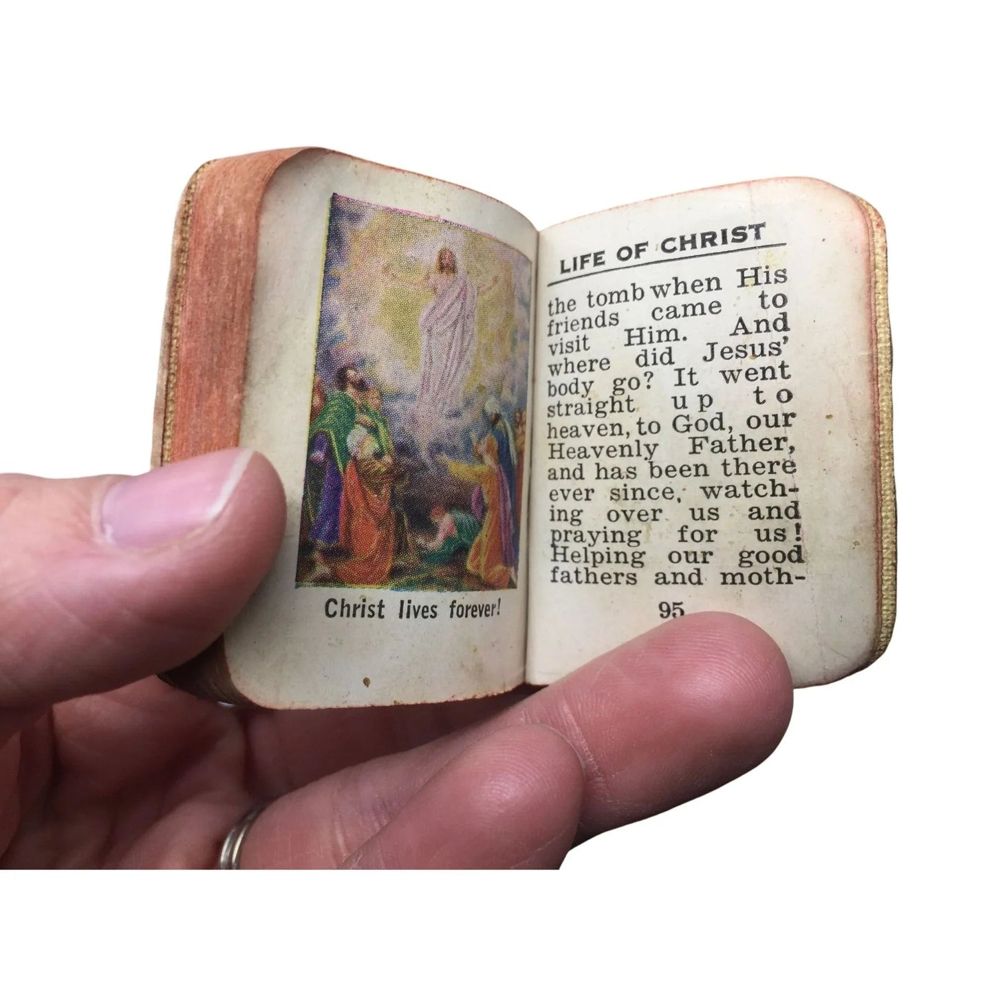 Vintage Mini Pocket Book Life of Christ Book - A+ Stuff - Books - A+ Stuff