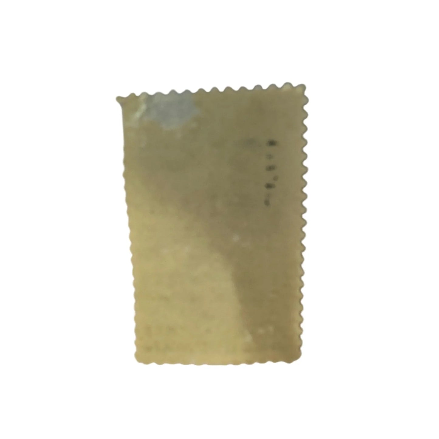 Vintage Postage Stamp - New Jersey Tercentenary 5 Cent United States - A+ Stuff - Stamp - A+ Stuff