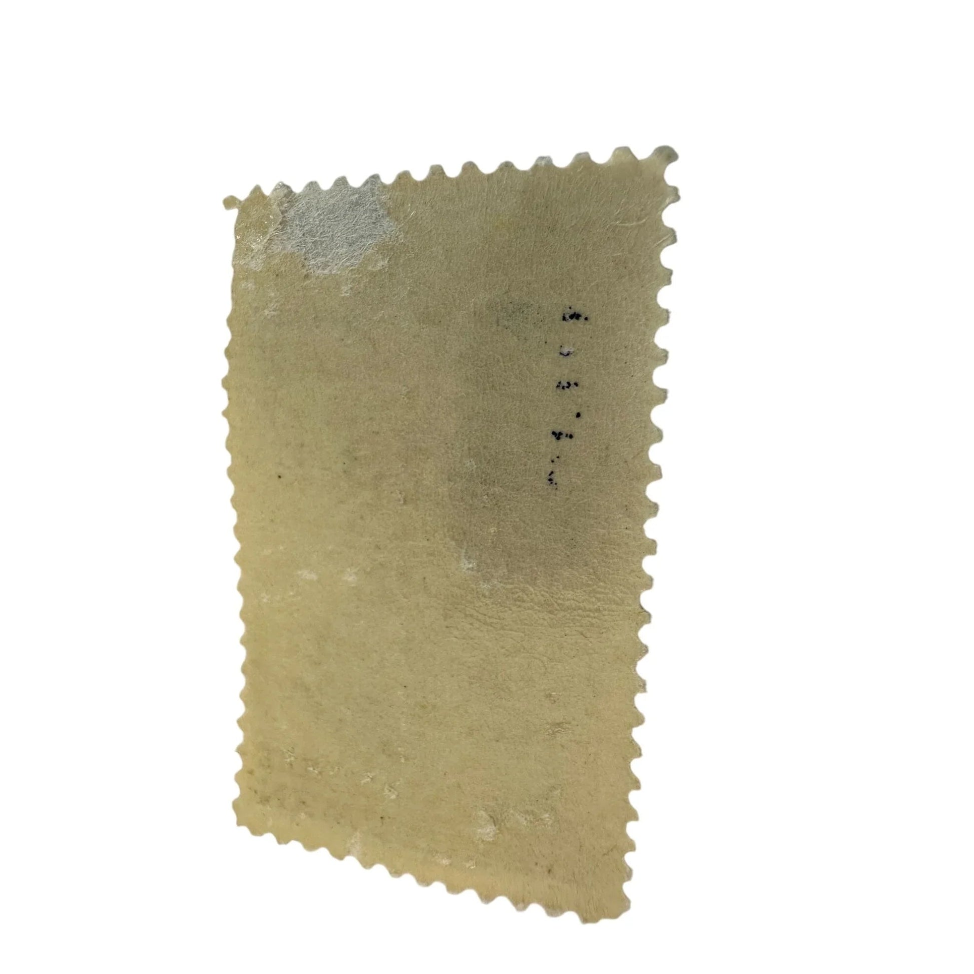 Vintage Postage Stamp - New Jersey Tercentenary 5 Cent United States - A+ Stuff - Stamp - A+ Stuff