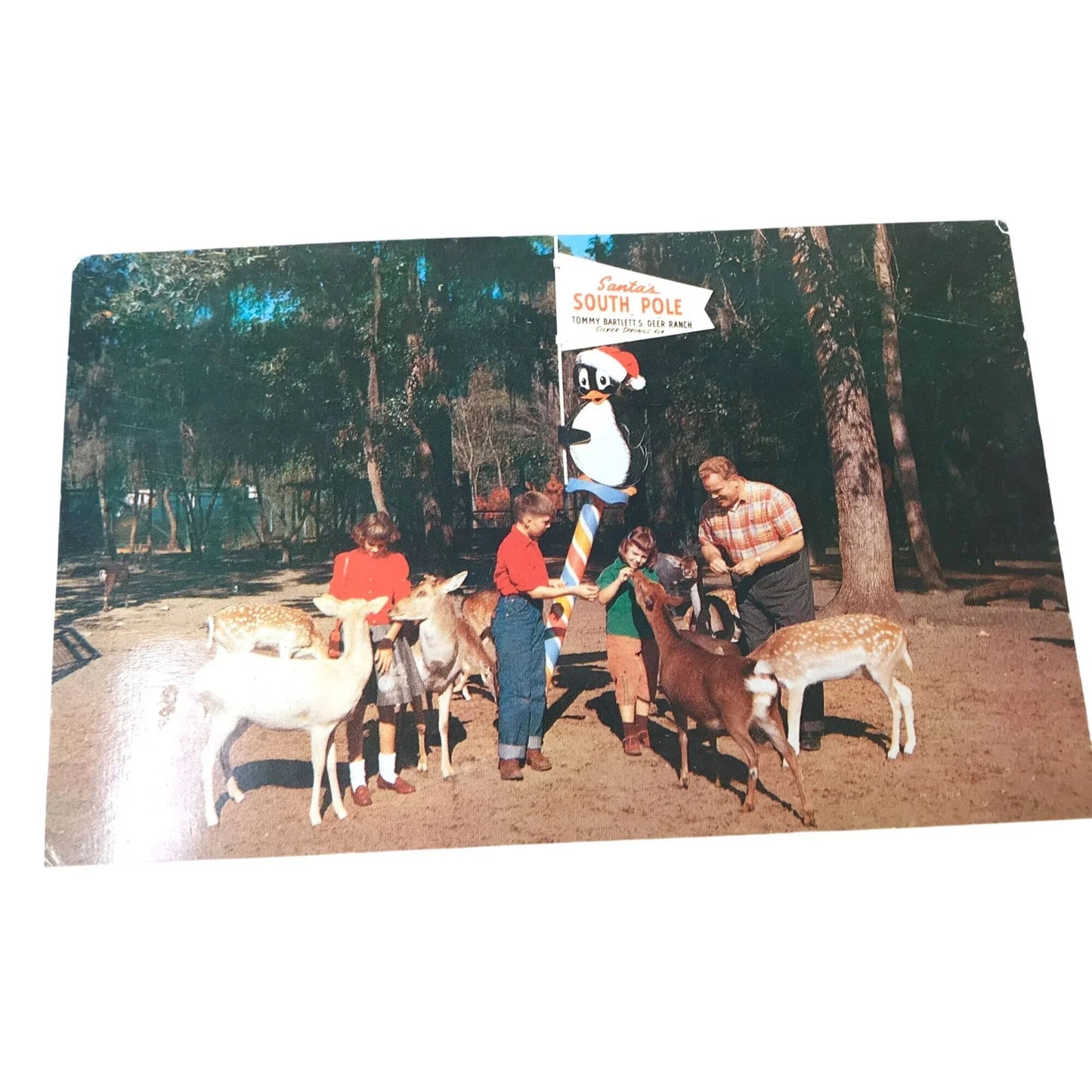 Vintage Postcards Trappers Lake, Nabisco Defenders, 1950s w Stamps - National Biscuit Co (Nabisco) - Postcards - A+ Stuff