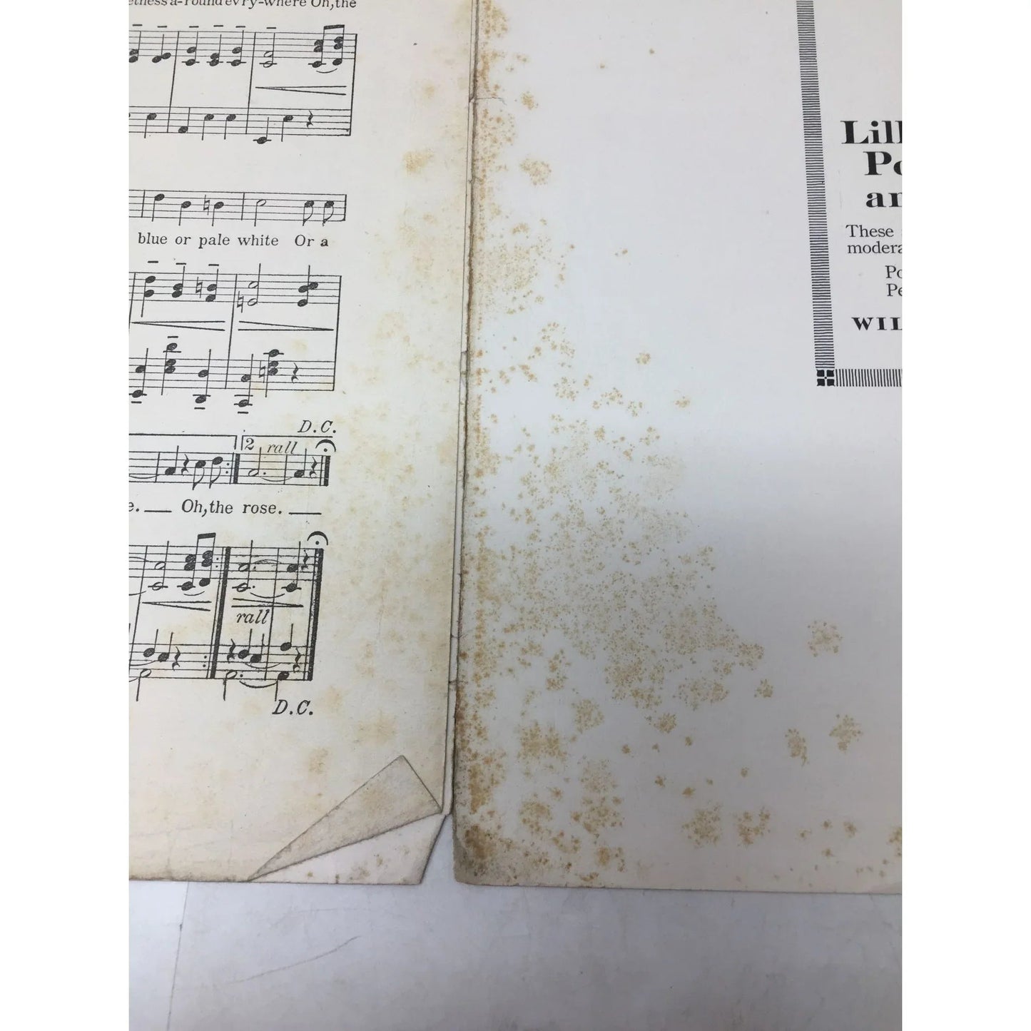 Vintage Sheet Music Book - ''The Song of the Melorose Waltz'' - A+ Stuff - sheet music - A+ Stuff