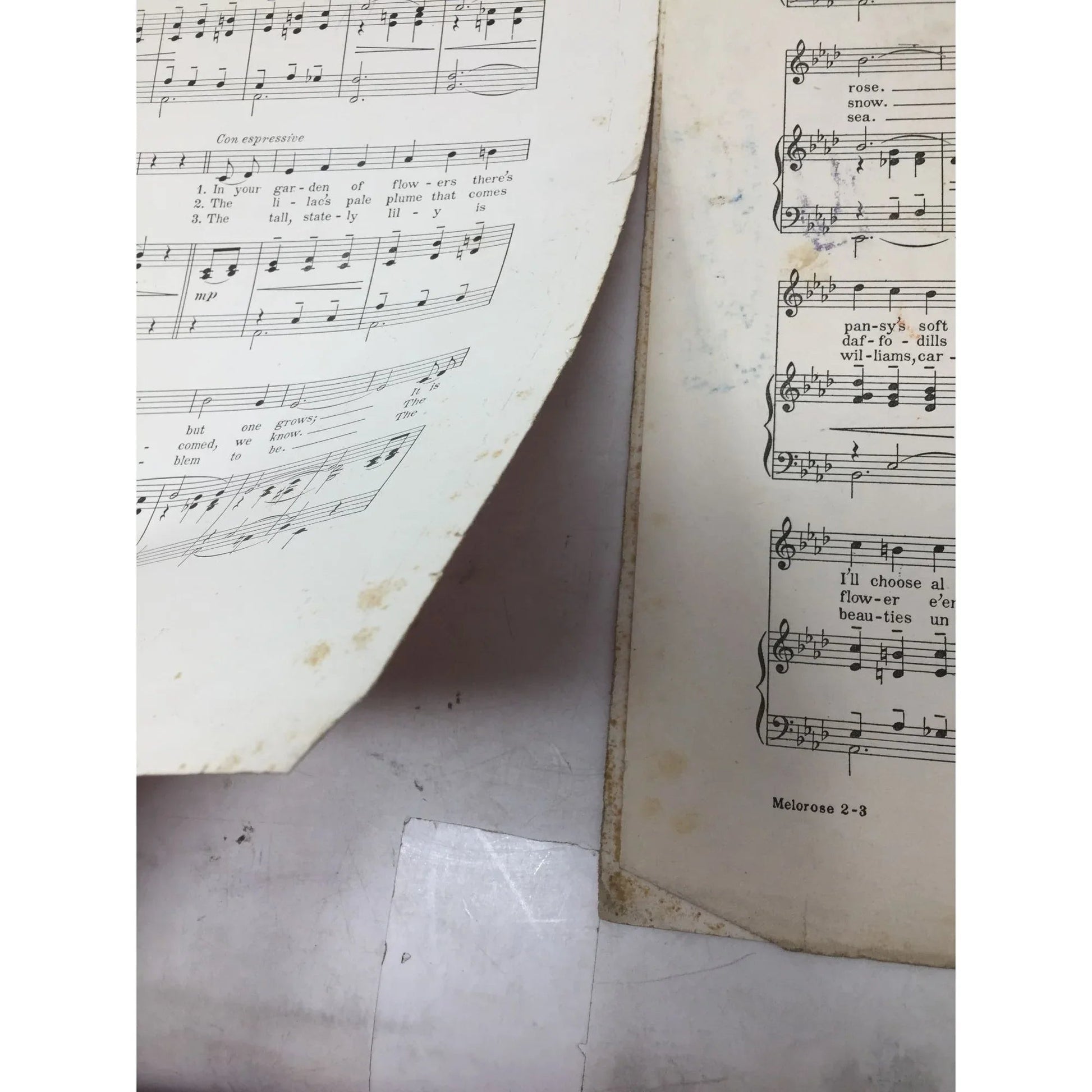 Vintage Sheet Music Book - ''The Song of the Melorose Waltz'' - A+ Stuff - sheet music - A+ Stuff