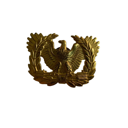 Vintage US Army Warrant Officer's Cap Eagle Pin with Screw Back - A+ Stuff - pin - A+ Stuff