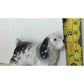 Vintage White and Black Cavalier King Charles Spaniel Dog figurine - A+ Stuff - Figurines - A+ Stuff