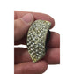 Vintage Women's Rhinestone Clip On Earrings - A+ Stuff - Earrings - A+ Stuff