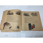 ''Walt Disney's DUMBO The Story of the Flying Elephant'' Paperback Book - A+ Stuff - Books - A+ Stuff