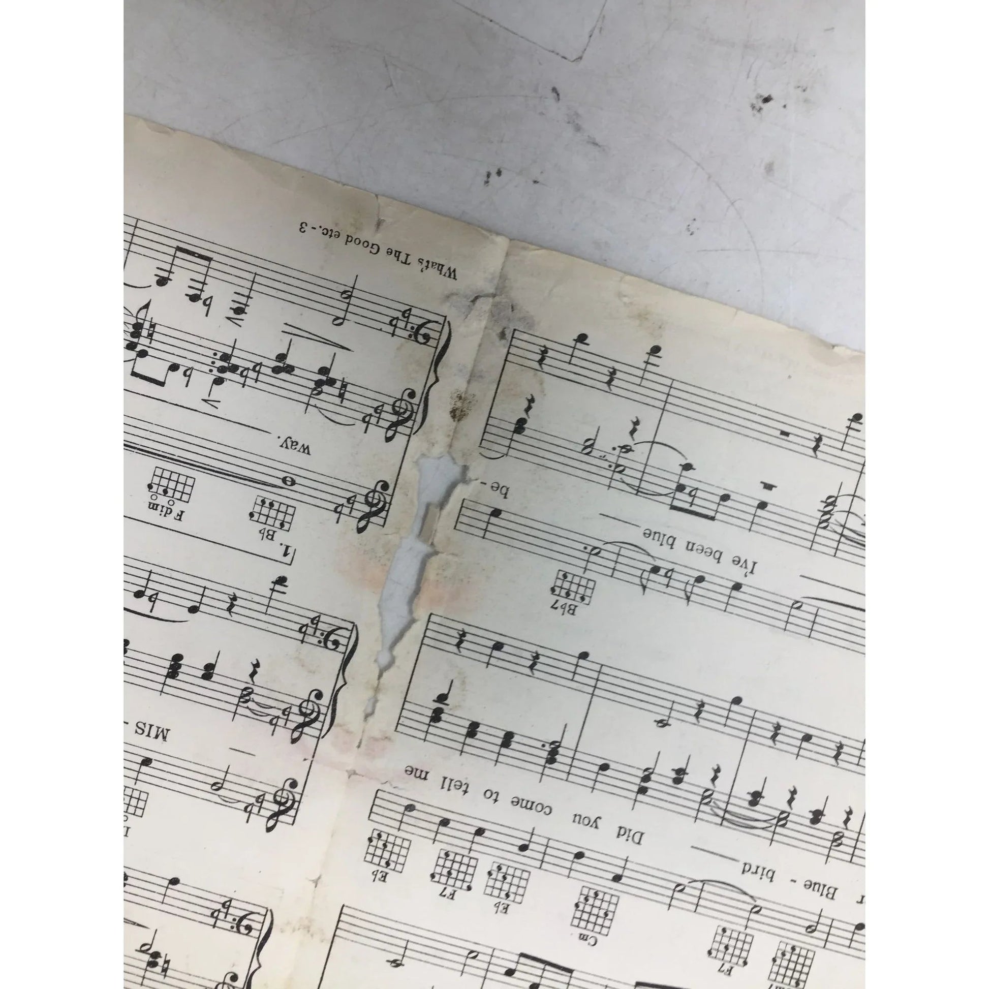 ''What's the Good Word, Mister Blue Bird?'' Vintage Sheet Music - A+ Stuff - sheet music - A+ Stuff