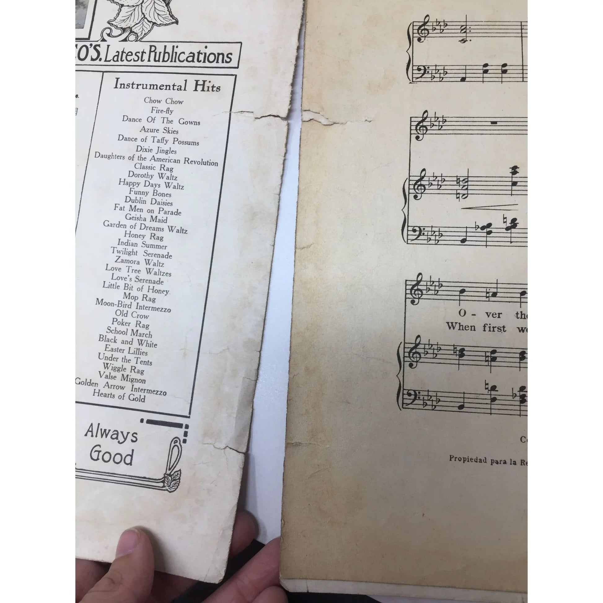 ''When The Daisies Bloom'' (Popular edition) Vintage sheet music - A+ Stuff - Sheet Music - A+ Stuff
