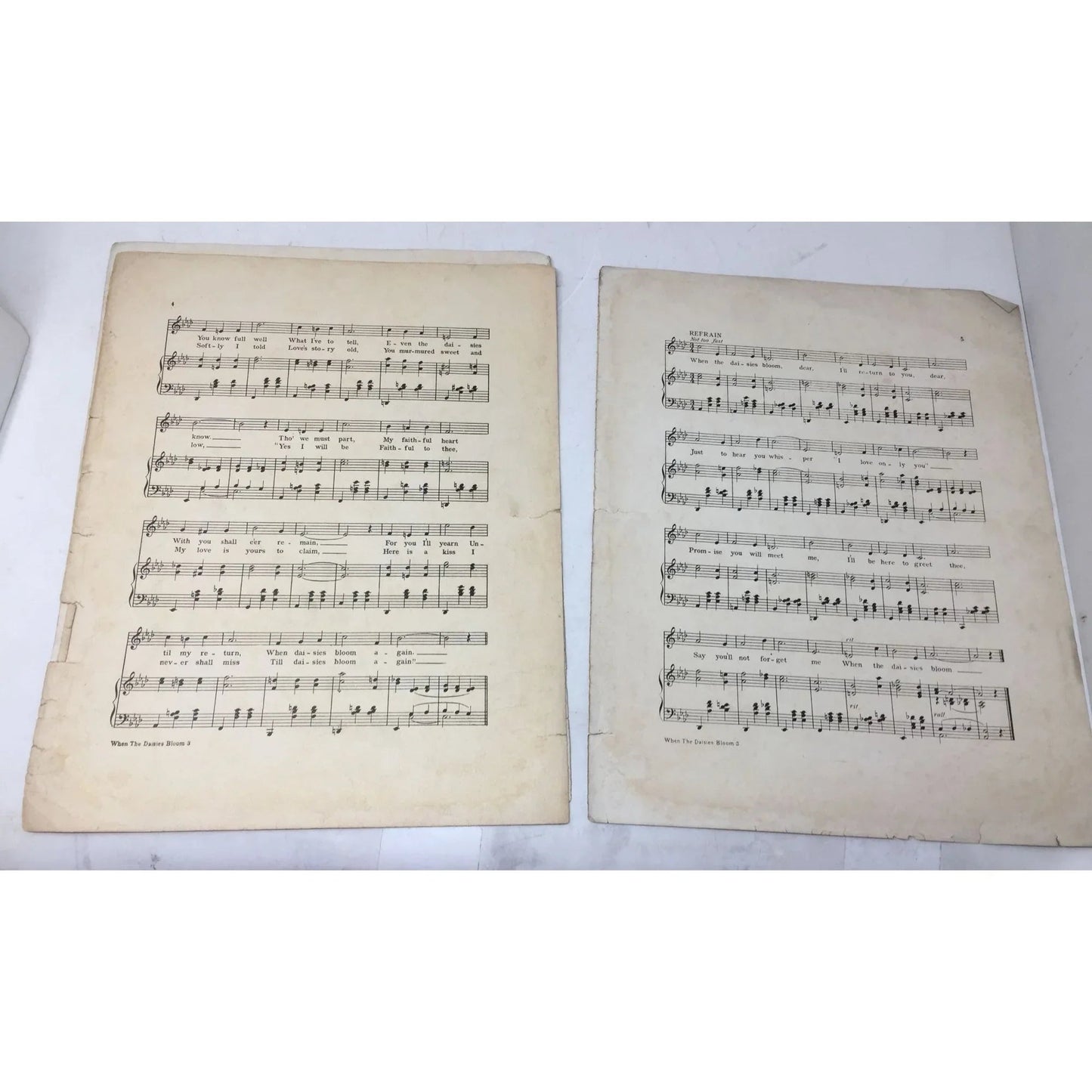 ''When The Daisies Bloom'' (Popular edition) Vintage sheet music - A+ Stuff - Sheet Music - A+ Stuff