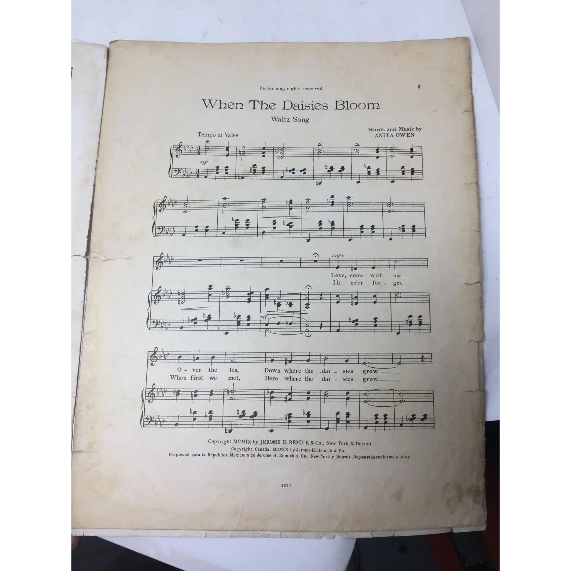 ''When The Daisies Bloom'' (Popular edition) Vintage sheet music - A+ Stuff - Sheet Music - A+ Stuff