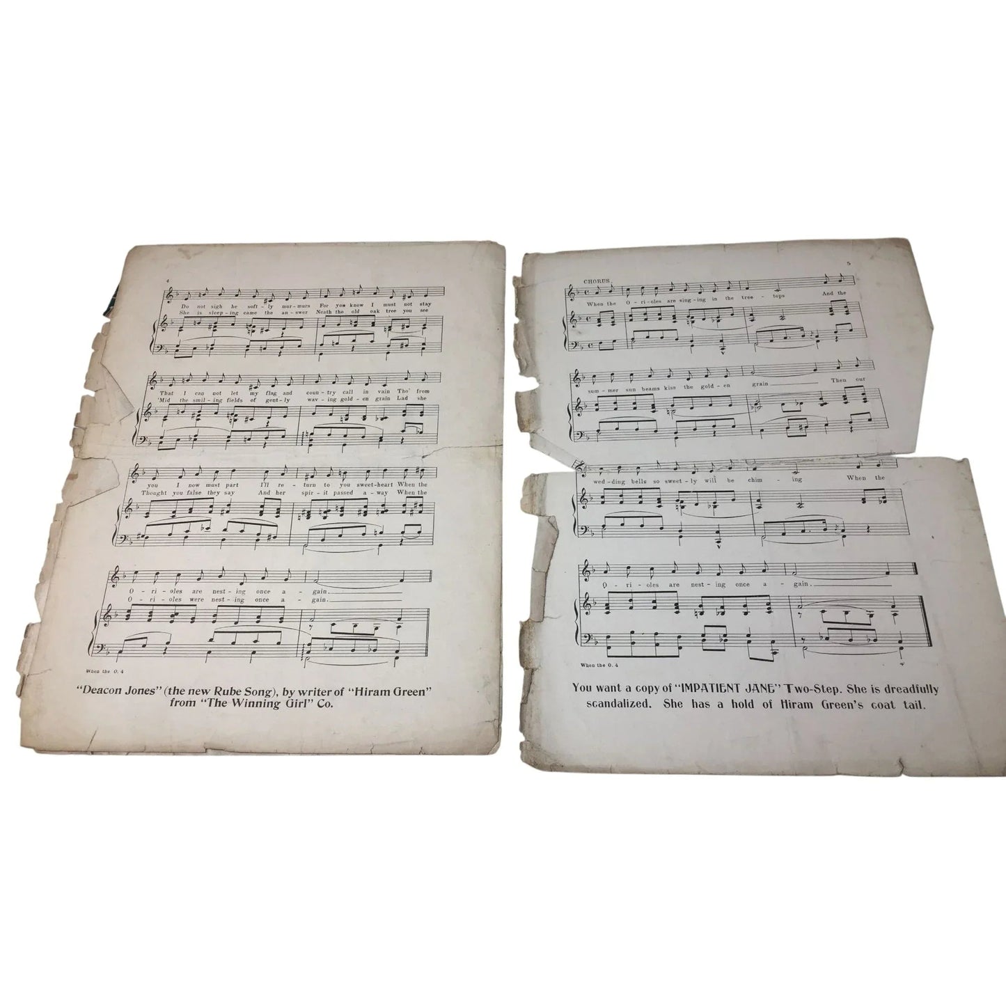 ''When the Orioles Are Nesting Once Again'' Vintage Sheet Music Book - A+ Stuff - SHEET MUSIC - A+ Stuff