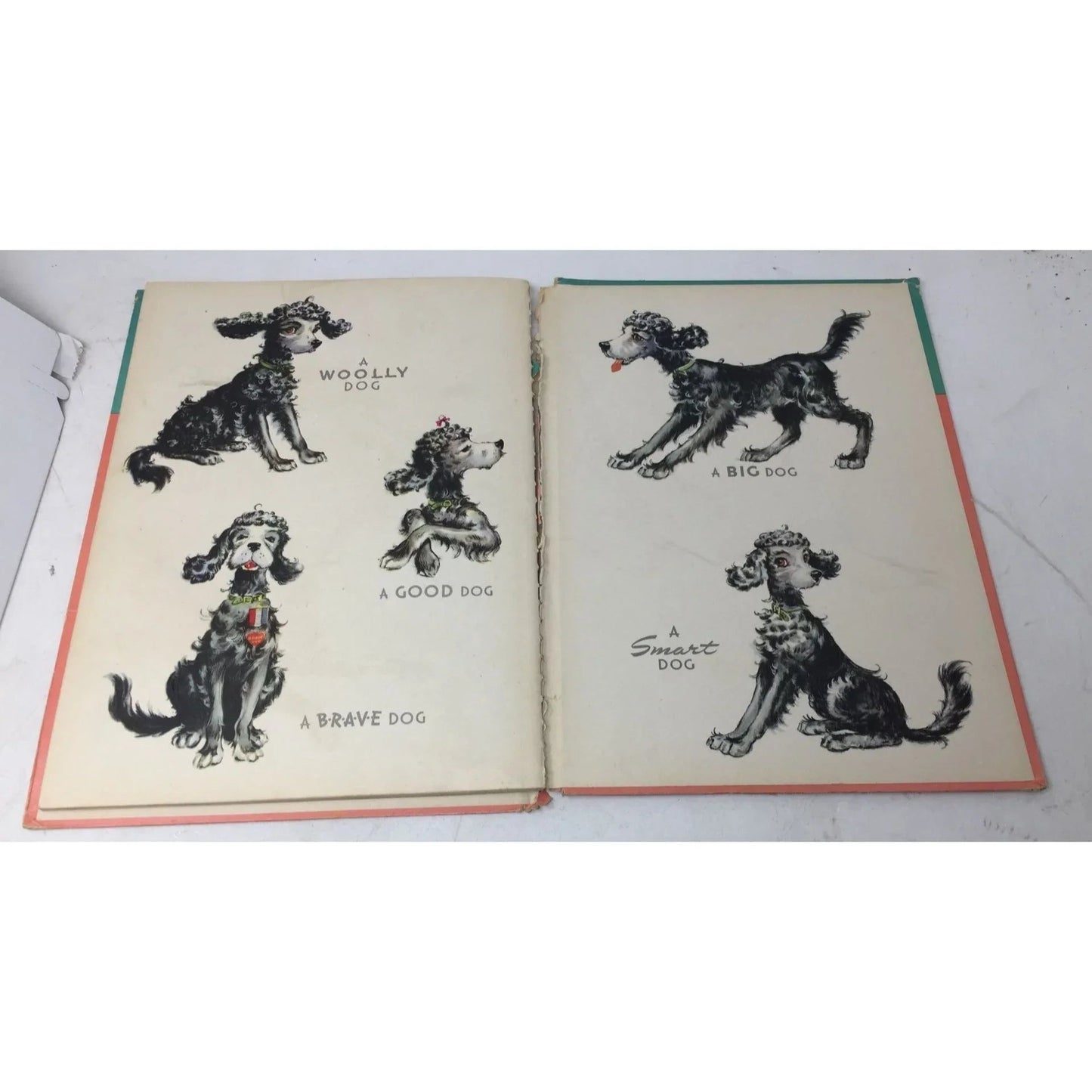 ''Woofus The Wooly Dog'' by Jane Curry Hardcover Vintage Book - A+ Stuff - books - A+ Stuff