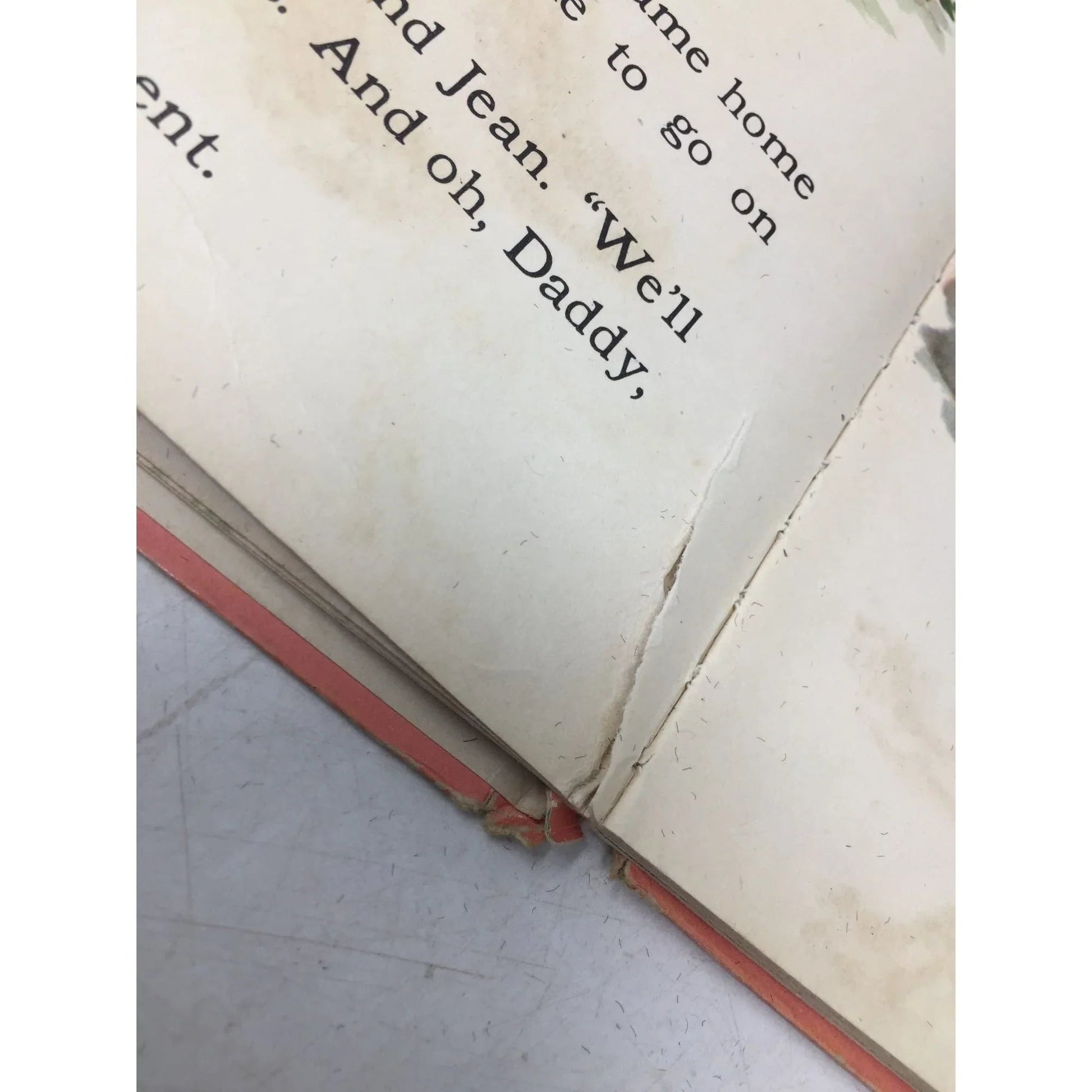 ''Woofus The Wooly Dog'' by Jane Curry Hardcover Vintage Book - A+ Stuff - books - A+ Stuff