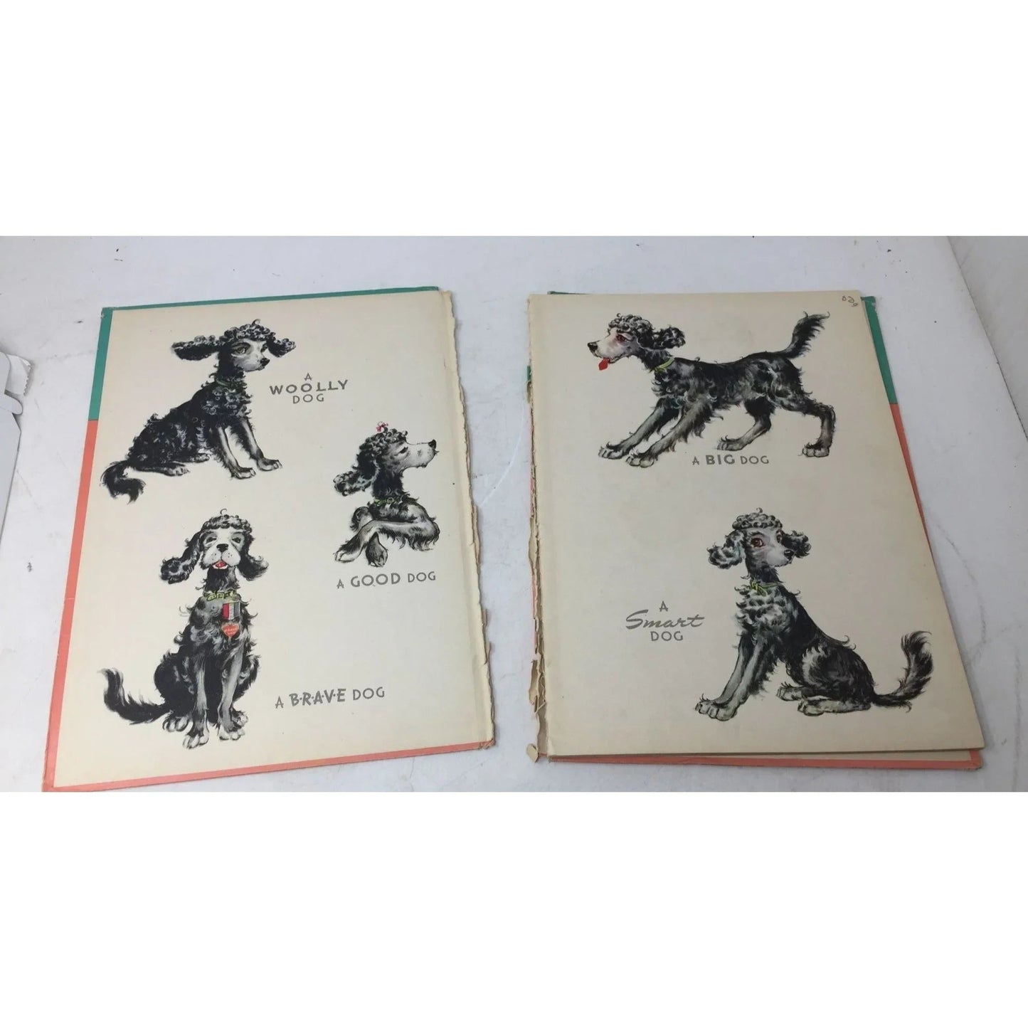''Woofus The Wooly Dog'' by Jane Curry Hardcover Vintage Book - A+ Stuff - books - A+ Stuff