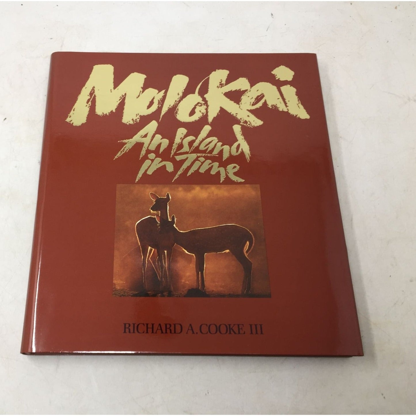 Moloka'i: An Island in Time A+ Stuff  A+ Stuff Books