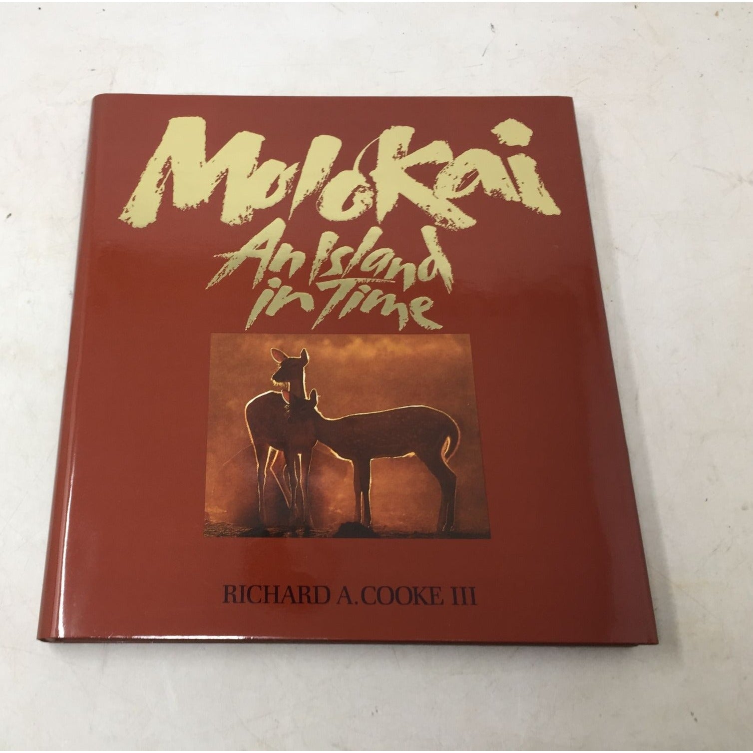 Moloka'i: An Island in Time A+ Stuff  A+ Stuff Books